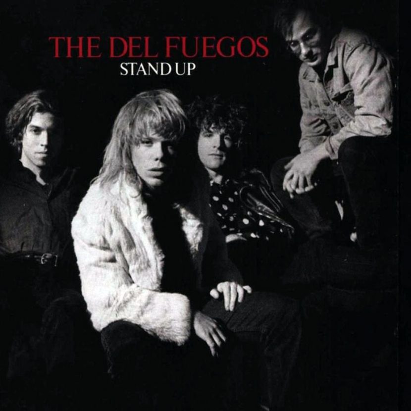 The Del Fuegos - Stand Up. Album Vinilo 33 rpm